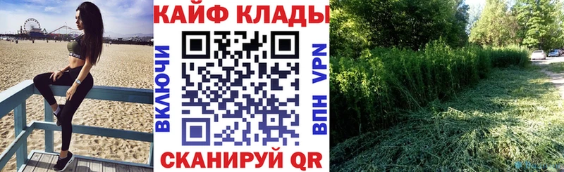 Купить закладку Любим Каннабис  Лсд 25  Гашиш  COCAIN  А ПВП  Псилоцибиновые грибы 