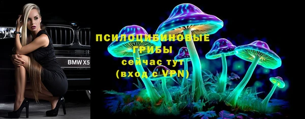 трава Верхнеуральск