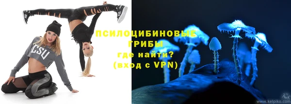 трава Верхнеуральск