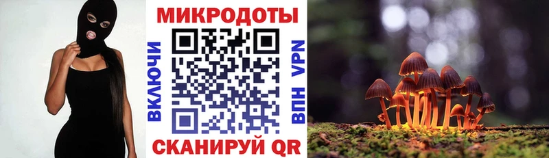 Галлюциногенные грибы MAGIC MUSHROOMS  наркота  Любим 